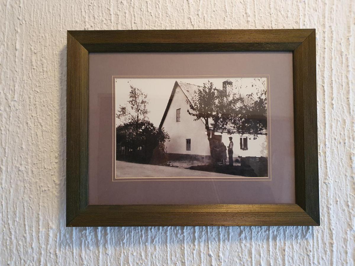 Apartma Cerknica Exteriér fotografie